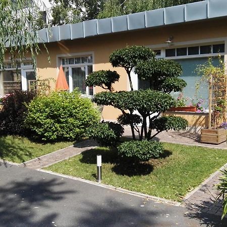 Fewo 2 Dresden Exterior photo